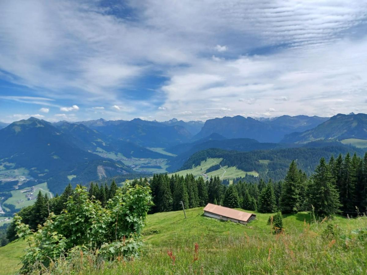 Ferienwohnung Brittenberg Schwarzenberg im Bregenzerwald Exterior foto